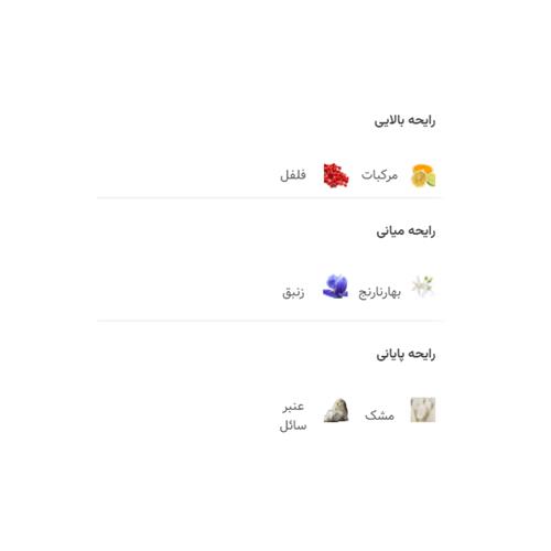 عطر مردانه و زنانه آلفا مونته مدل Avant Gard حجم 100 میل