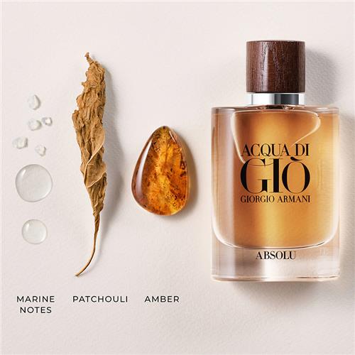 Giorgio-Armani-Acqua-Di-Gio-Absolu