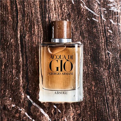 Giorgio-Armani-Acqua-Di-Gio-Absolu