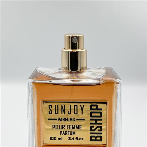 عطر مردانه سان جوی مدل Bishop حجم 100 میل