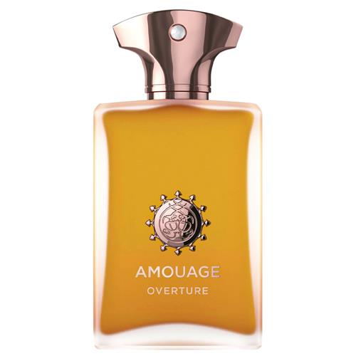 ادو پرفیوم مردانه AMOUAGE Overture حجم ۱۰۰ میل