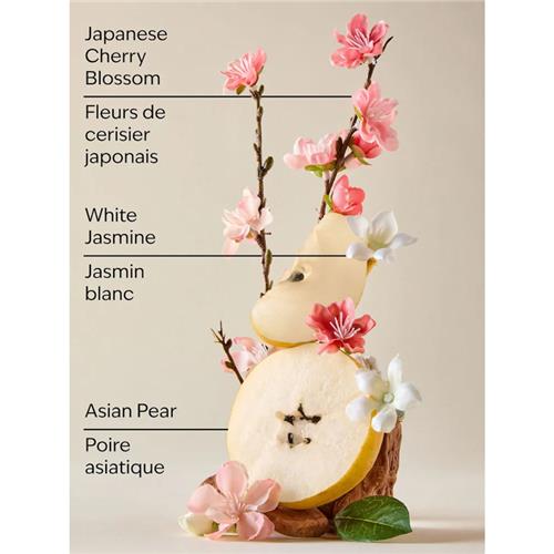blossom