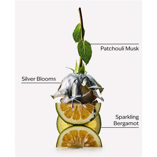 platinum 2