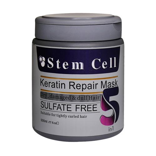 ماسک مو 5 کاره استم سل مخصوص موهای خشک و آسیب دیده 500 میل