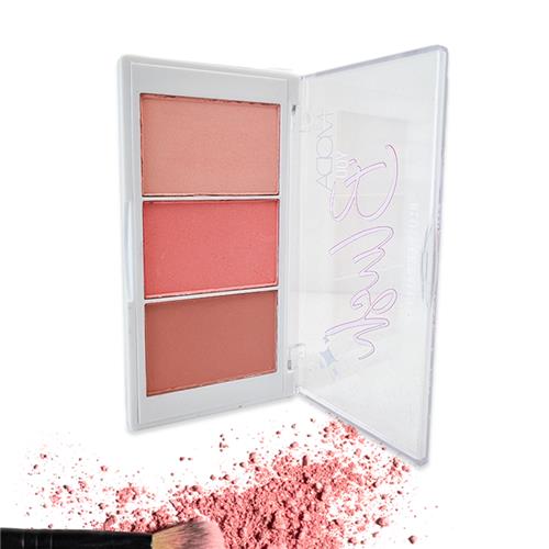 پالت رژگونه 3 عددی مودا شماره 10