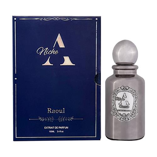 عطر ای نیش مدل Raoul حجم 100 میل